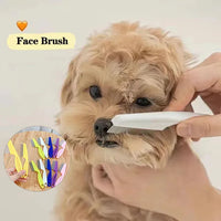 Stainless Steel Flea Comb – Shedding Grooming Tool for Cat and Dog Pets