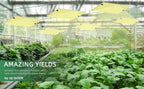 Full Spectrum LED Grow Light – 850W Quiet Fanless Panel for 5x5FT Indoor Plants