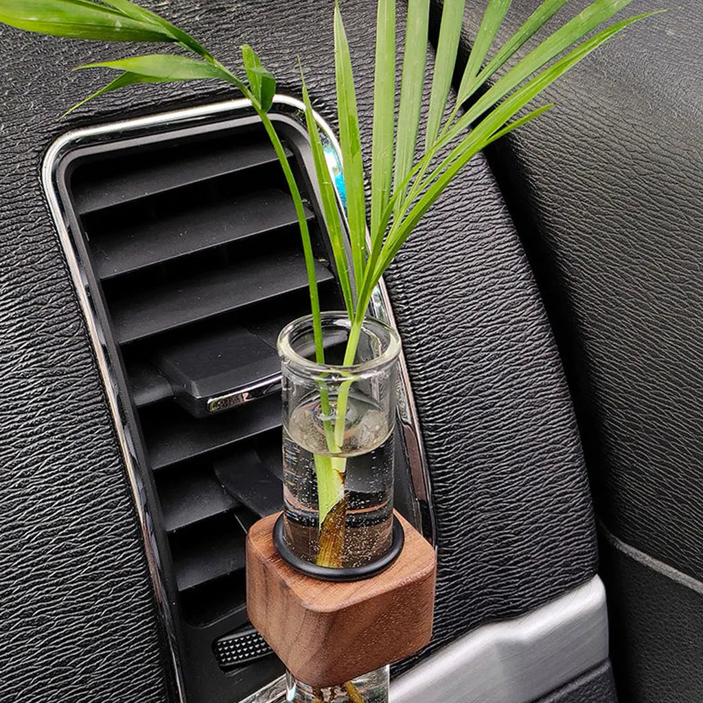 Mini Glass Plant Terrarium – Hanging Hydroponic Bottle for Car Interior Decor