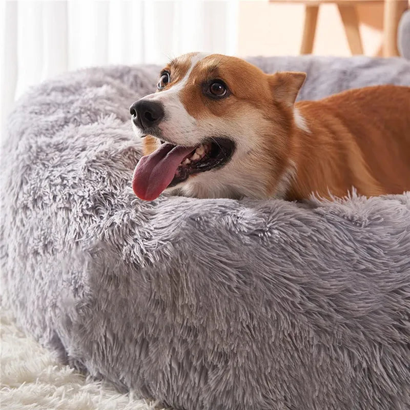 Round Plush Pet Bed – Soft Warm Dog House for Large and Medium Pets