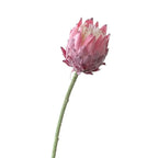 Artificial King Protea Flower – 25 Inch Faux Botanical for Home Wedding Decor