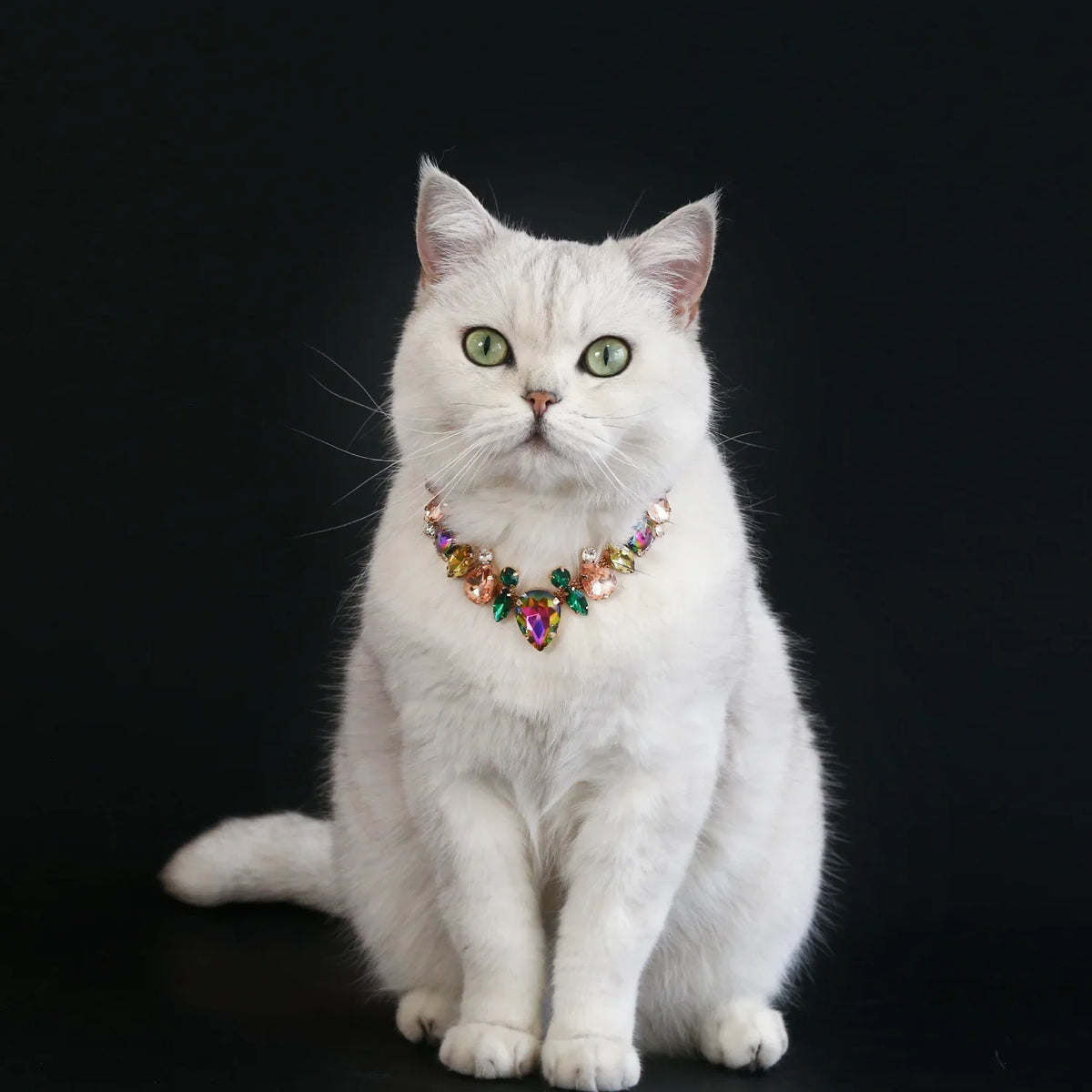 Rhinestone Pearl Pet Collar – Jeweled Dog and Cat Necklace for Weddings