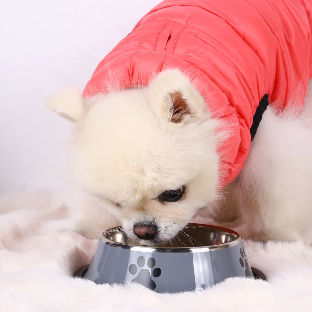 Stainless Steel Pet Bowl – Durable Anti-fall Food Bowl for Dogs and Cats