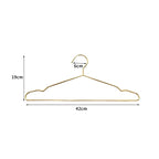 Gold Stainless Steel Coat Hangers – Durable Metal Closet Organizers for Home