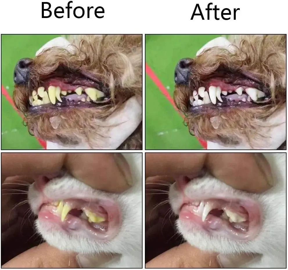 Silicone Finger Toothbrush – Soft Pet Dental Tool for Cat and Dog Teeth Care