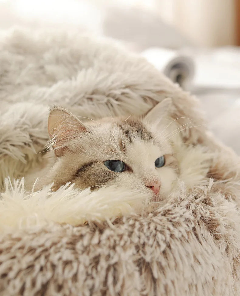 Semi-Enclosed Plush Pet Bed – Warm Winter Shell Nest for Cats and Small Dogs
