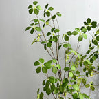 Artificial Green Vine – Realistic Hanging Plant for Home Wedding Decor