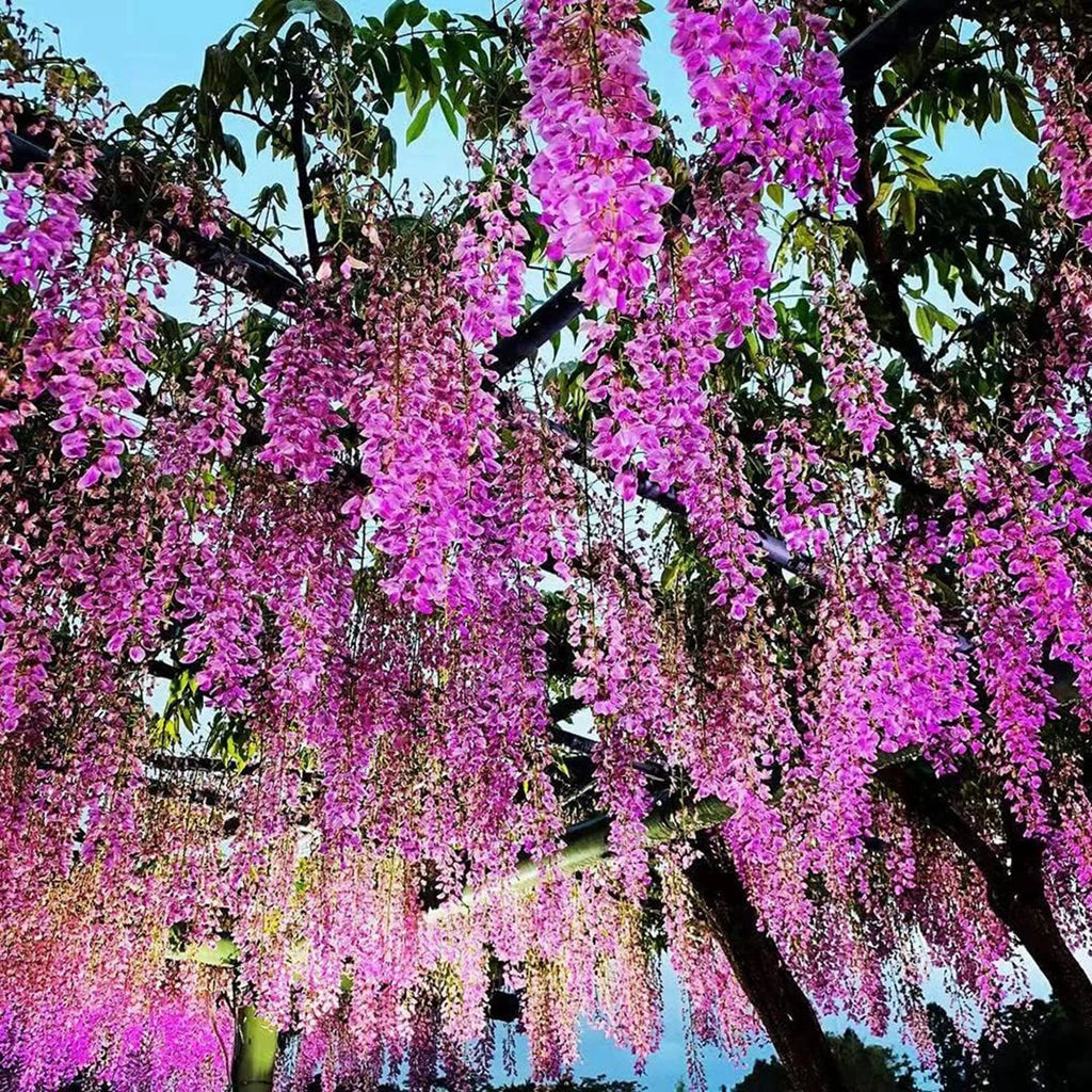 Artificial Hanging Vine – Faux Greenery for Wedding and Home Decor
