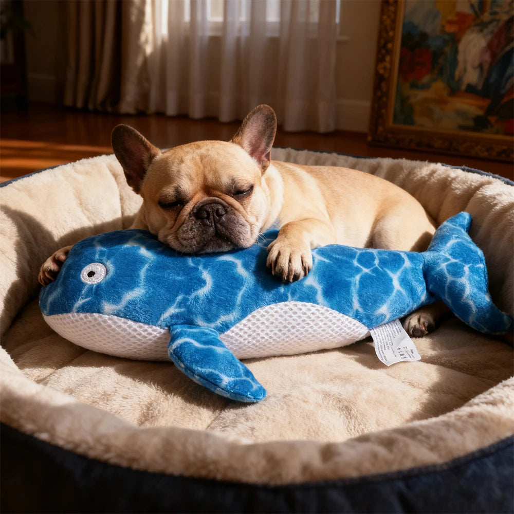 Squeaky Whale Plush Toy – Bite-Resistant Chewing Companion for Dogs and Cats