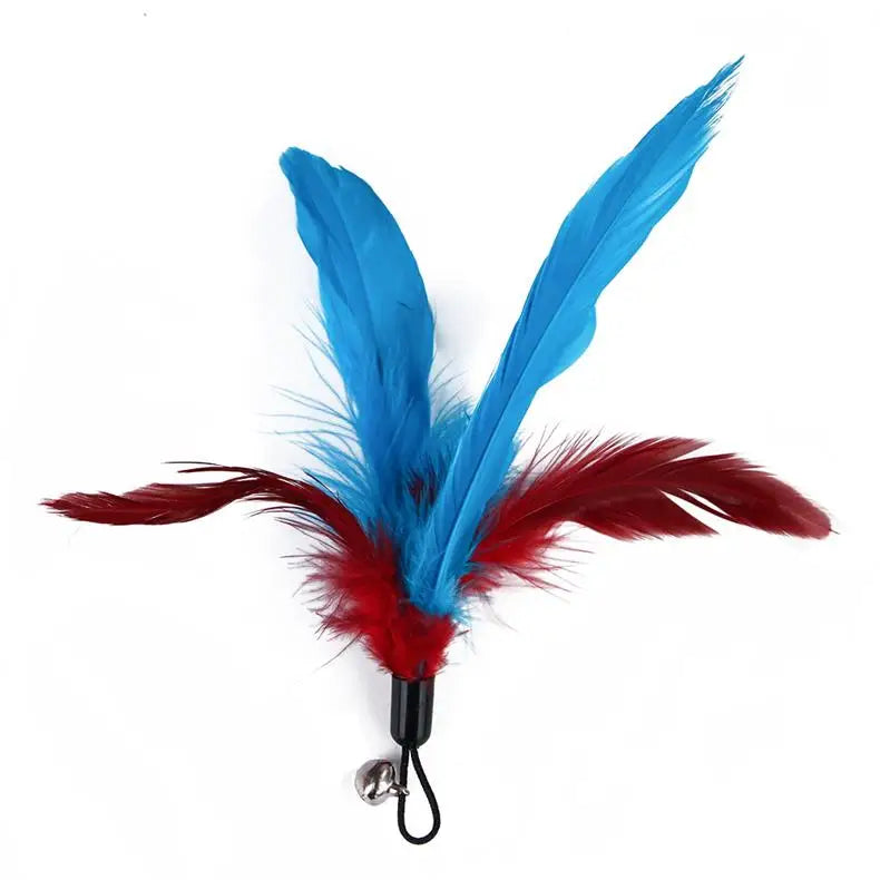 Interactive Cat Feather Toy Set – Retractable Wand for Indoor Pet Play