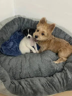 Soft Plush Orthopedic Dog Bed – Warm Sofa Cushion for Medium Large Pets