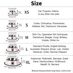 Stainless Steel Pet Bowl – Durable Anti-fall Food Bowl for Dogs and Cats