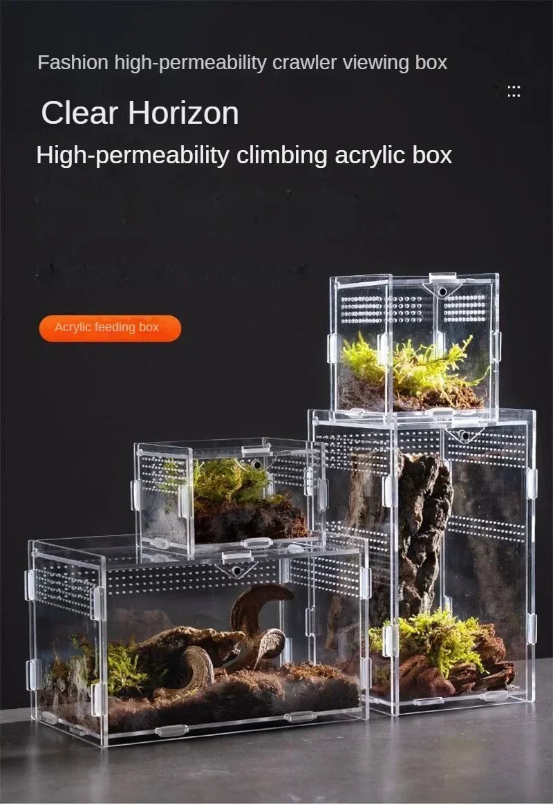 Acrylic Reptile Terrarium – Nano Arboreal Enclosure for Spiders and Insects