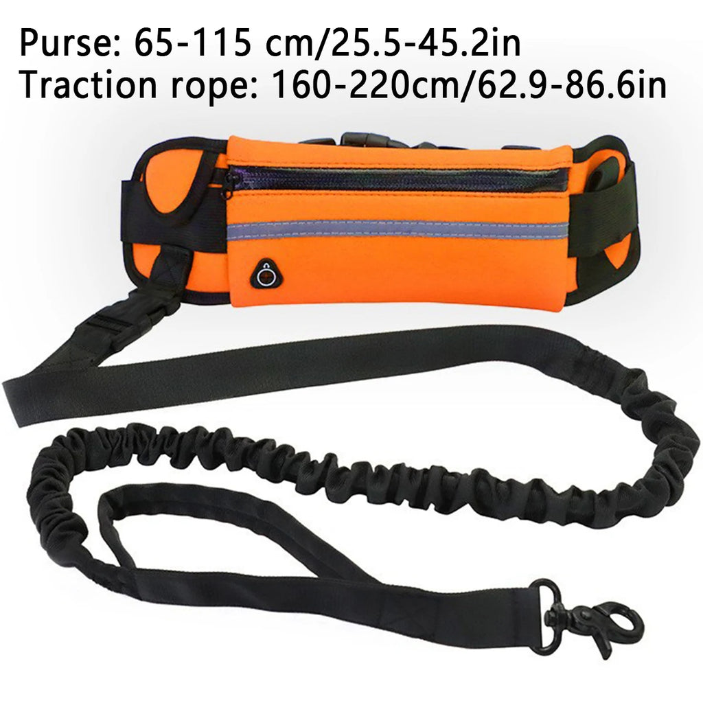 Hands-Free Dog Running Leash – Reflective Elastic Waist Belt for Outdoor Exercise