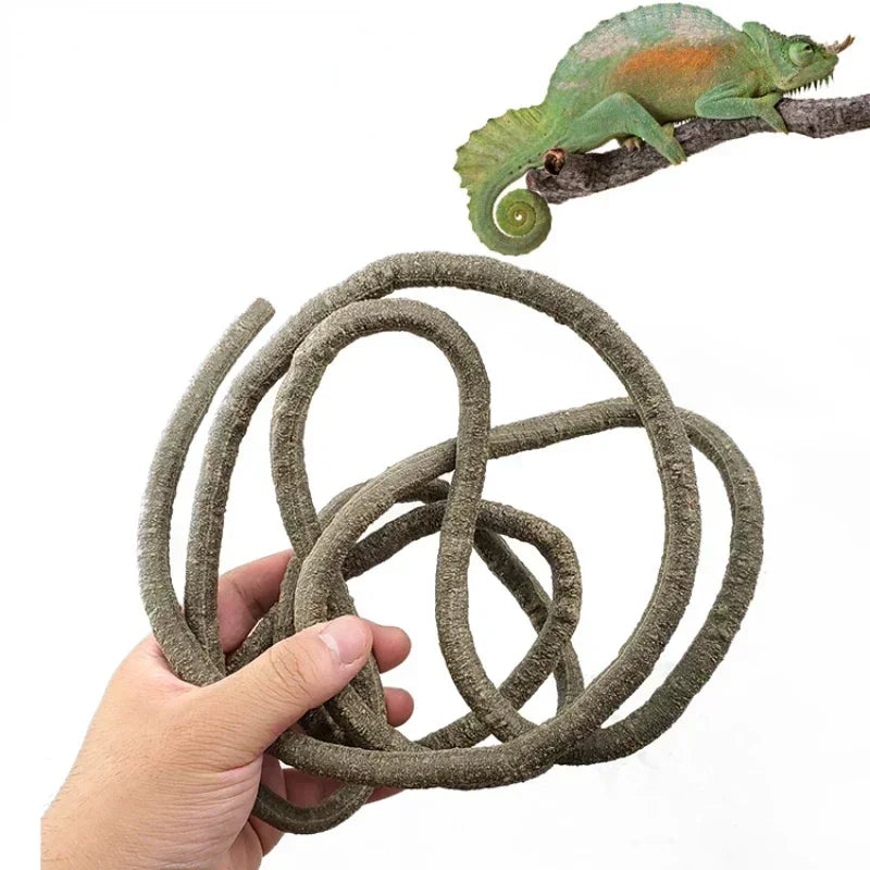 Flexible Rattan Jungle Vines – Bendable Habitat Decor for Reptile Terrariums