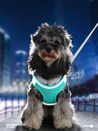 Reflective Breathable Dog Harness Vest – Adjustable for Outdoor Walking