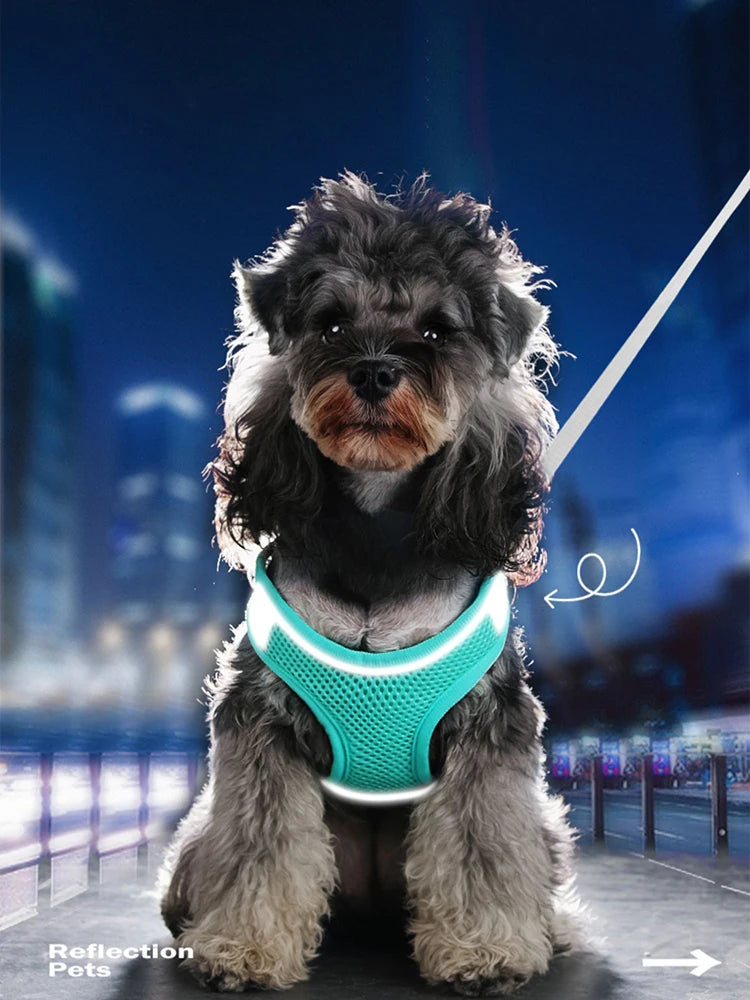 Reflective Breathable Dog Harness Vest – Adjustable for Outdoor Walking