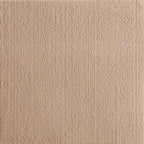 Self-Adhesive Cat Scratching Mat – Trimmable Carpet for Furniture Protection