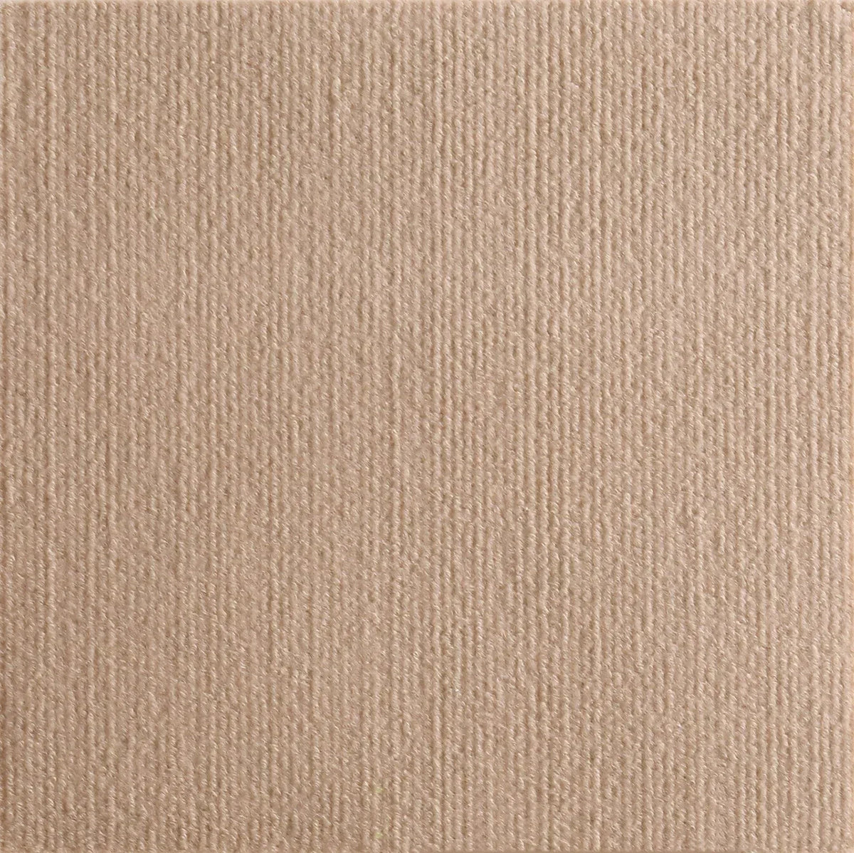 Self-Adhesive Cat Scratching Mat – Trimmable Carpet for Furniture Protection