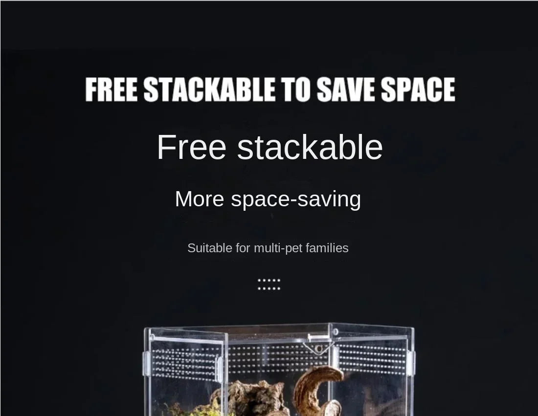 Acrylic Reptile Terrarium – Nano Arboreal Enclosure for Spiders and Insects