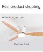 Modern LED Ceiling Fan – 42 52 Inch DC Motor for Nordic Home Lighting