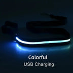 LED Flashing Dog Leash – Luminous Safety Rope for Night Walking