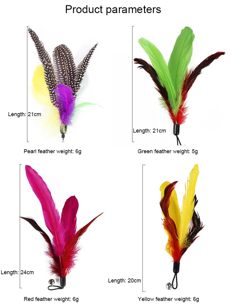 Interactive Cat Feather Toy Set – Retractable Wand for Indoor Pet Play