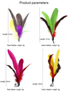 Interactive Cat Feather Toy Set – Retractable Wand for Indoor Pet Play