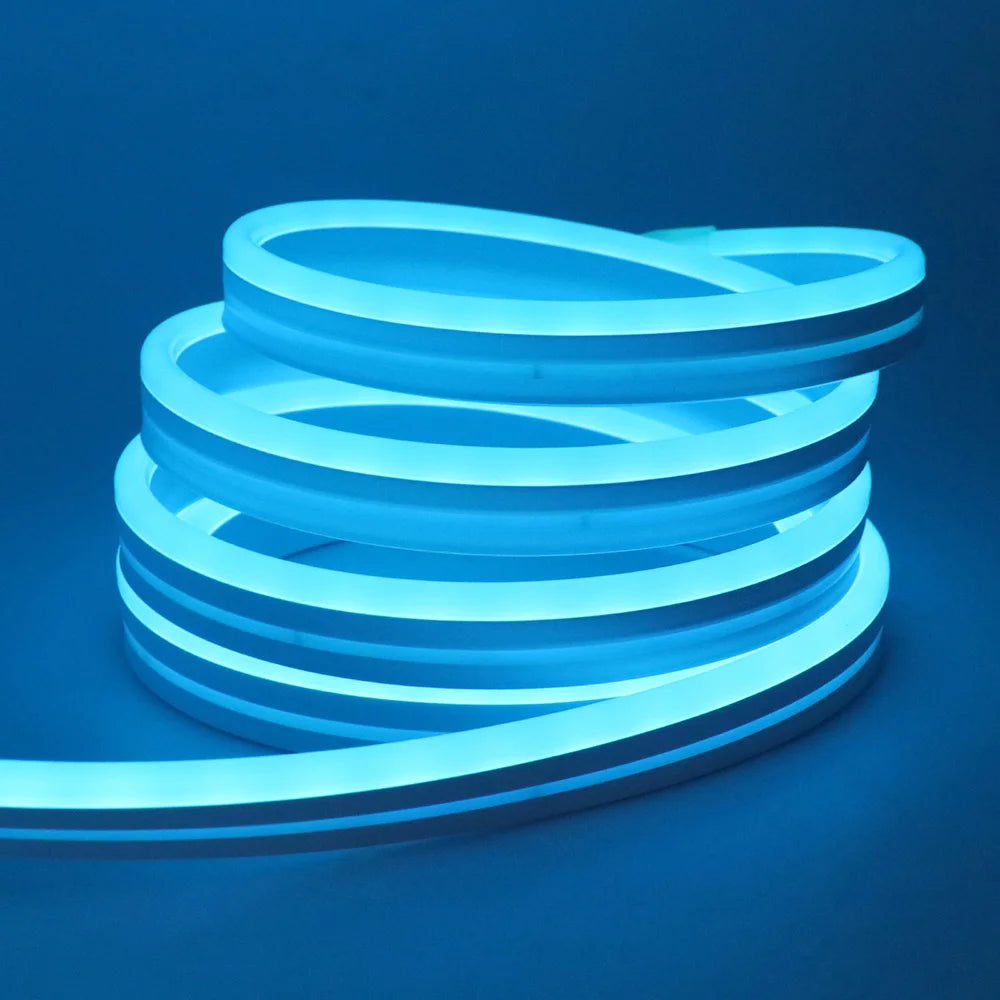 Bluetooth LED RGB Neon Strip – Waterproof Flexible Lights for Outdoor Pool Decor