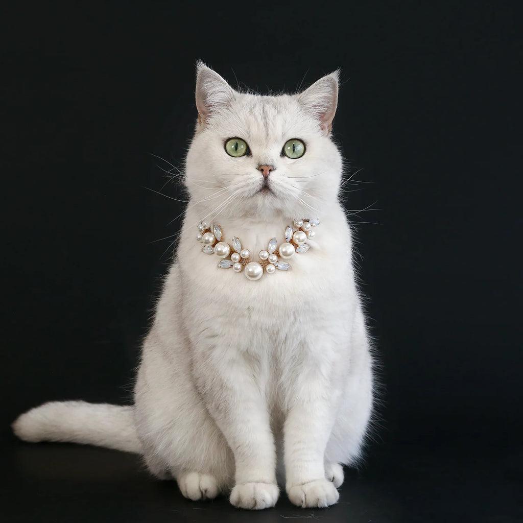 Rhinestone Pearl Pet Collar – Jeweled Dog and Cat Necklace for Weddings