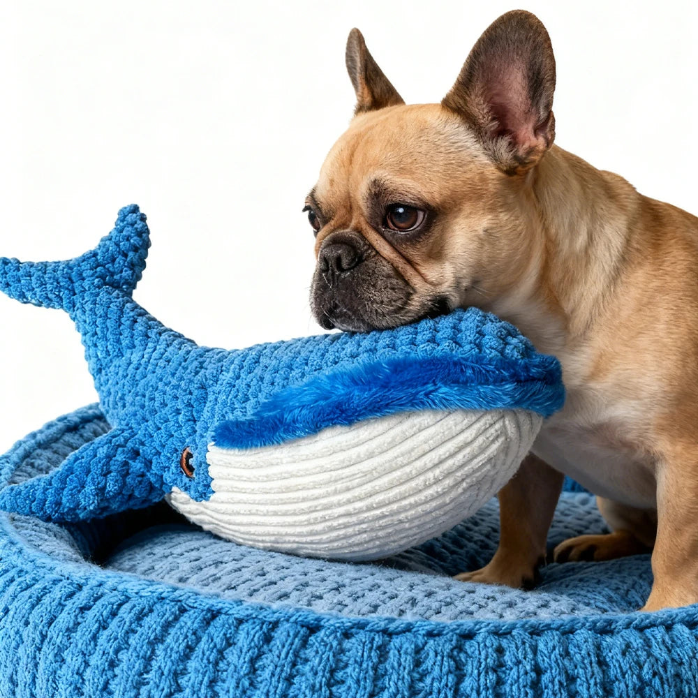 Whale Plush Chew-Resistant Toy – Interactive Squeaker for Dogs and Cats
