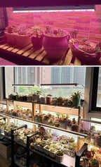 Full Spectrum LED Grow Lights – Greenhouse Lighting for Indoor Plant Growth