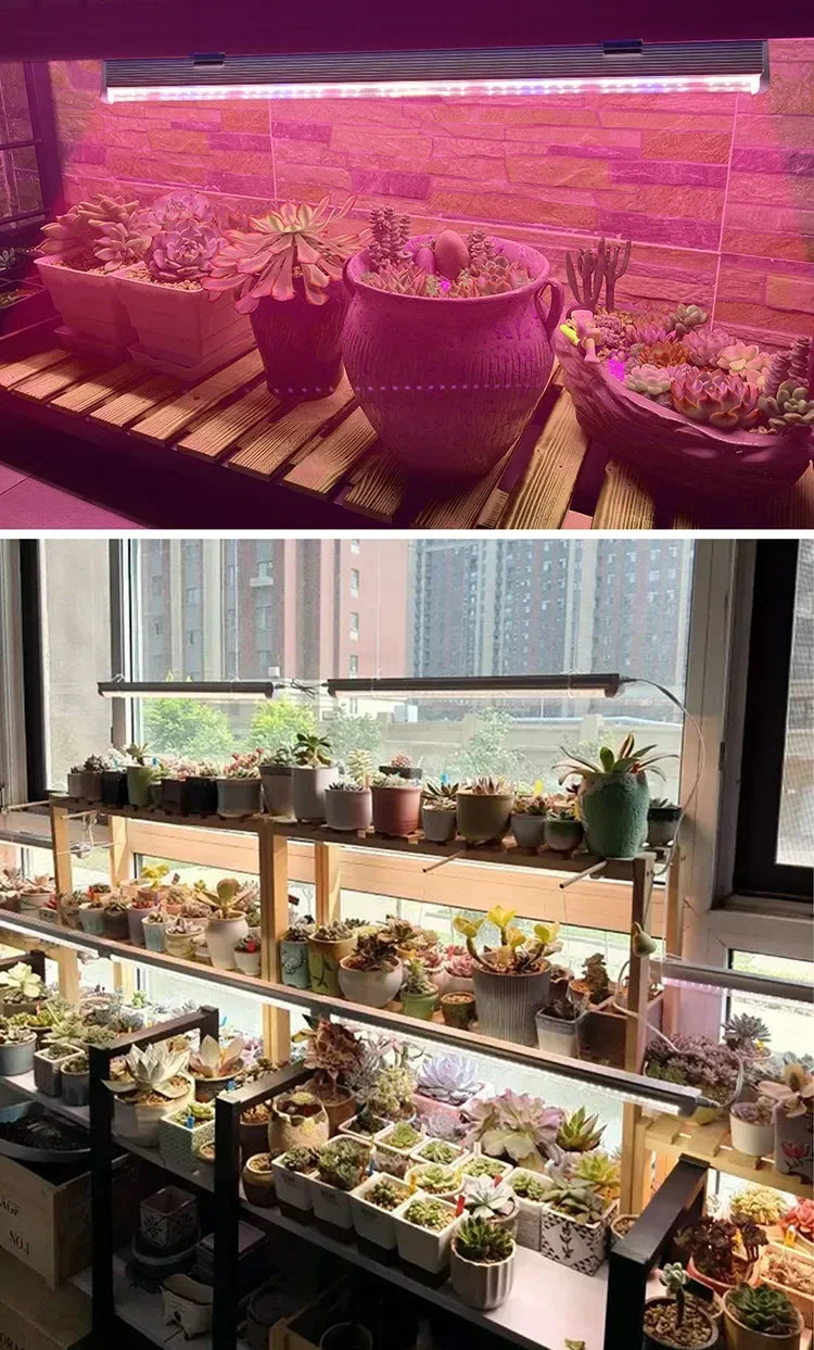 Full Spectrum LED Grow Lights – Greenhouse Lighting for Indoor Plant Growth