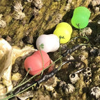 Artificial Fruit Squid Boilies – Sinking Carp Bait for Fishing Enthusiasts