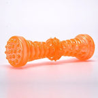 Durable Dog Chew Toothbrush – Interactive Bone Toy for Aggressive Chewers