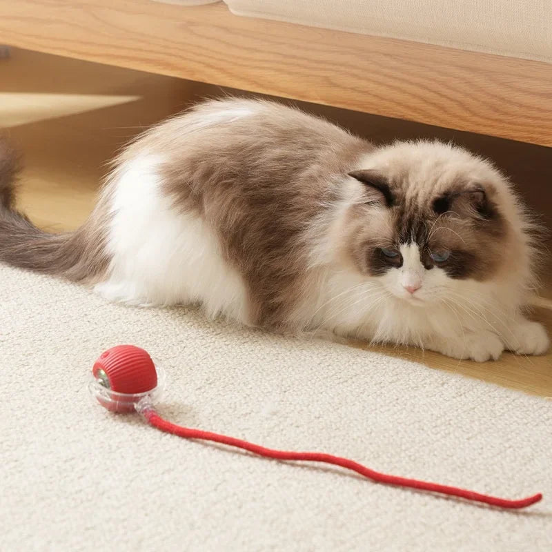 Interactive Rolling Cat Ball – Rechargeable Smart Toy for Pet Training