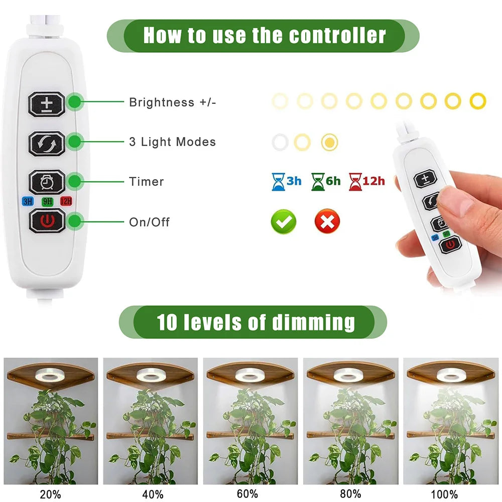 Full Spectrum Halo LED Grow Light – Dimmable Timer Lamp for Indoor Plants