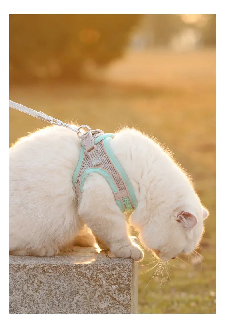 Adjustable Breathable Dog Harness – Safety Vest for Small Pets