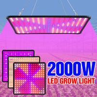 Full Spectrum LED Grow Light – Quantum Board for Indoor Plant Hydroponics