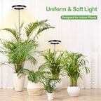 LED Ring Grow Light – 165cm Adjustable Full Spectrum Lamp for Indoor Plants