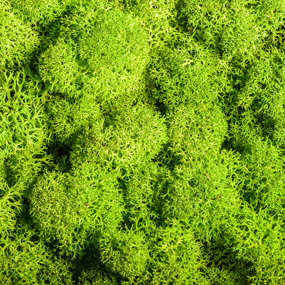 Artificial Moss Grass – 200g Green Fake Plant for DIY Garden Home Decor