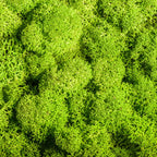 Artificial Moss Grass – 200g Green Fake Plant for DIY Garden Home Decor
