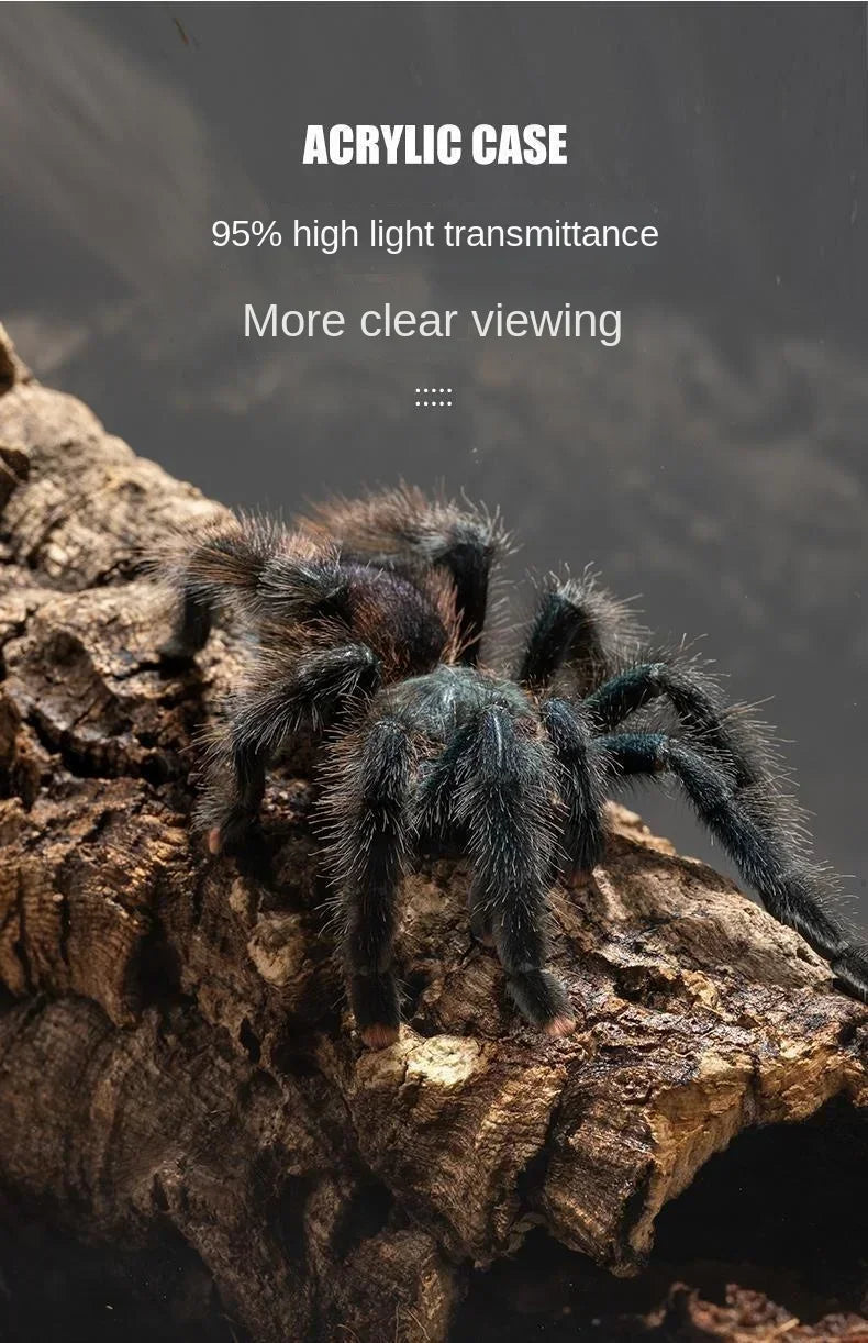 Acrylic Reptile Terrarium – Nano Arboreal Enclosure for Spiders and Insects