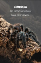 Acrylic Reptile Terrarium – Nano Arboreal Enclosure for Spiders and Insects
