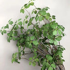 Artificial Green Vine – Realistic Hanging Plant for Home Wedding Decor
