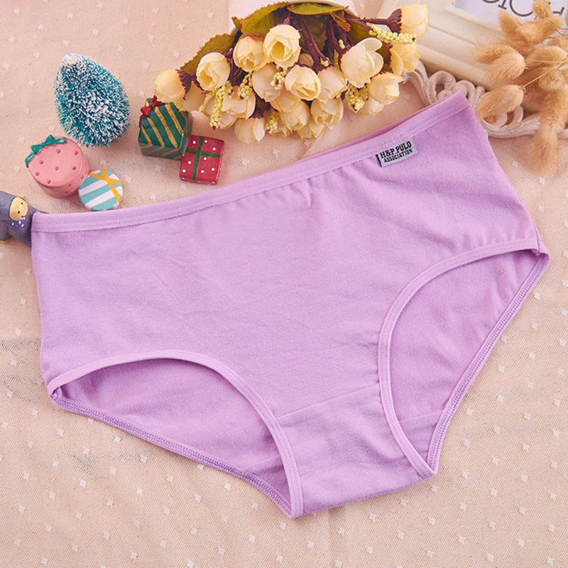 Cotton Brief Panties – Plus Size Women's Sexy Underwear for Daily Comfort