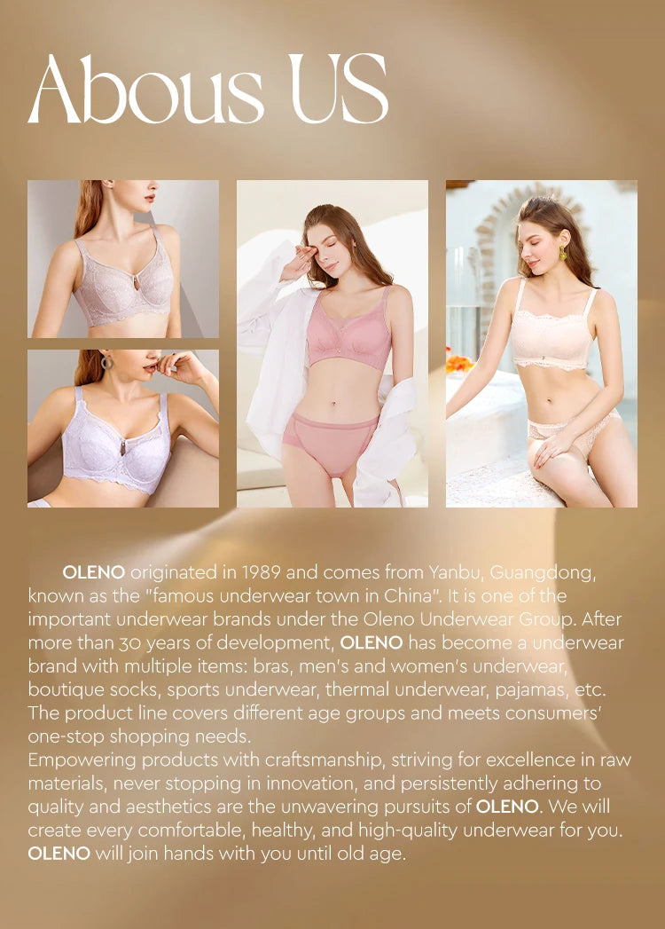 French Satin Lace Lingerie Set – Ultra-thin Bra and Briefs for Women