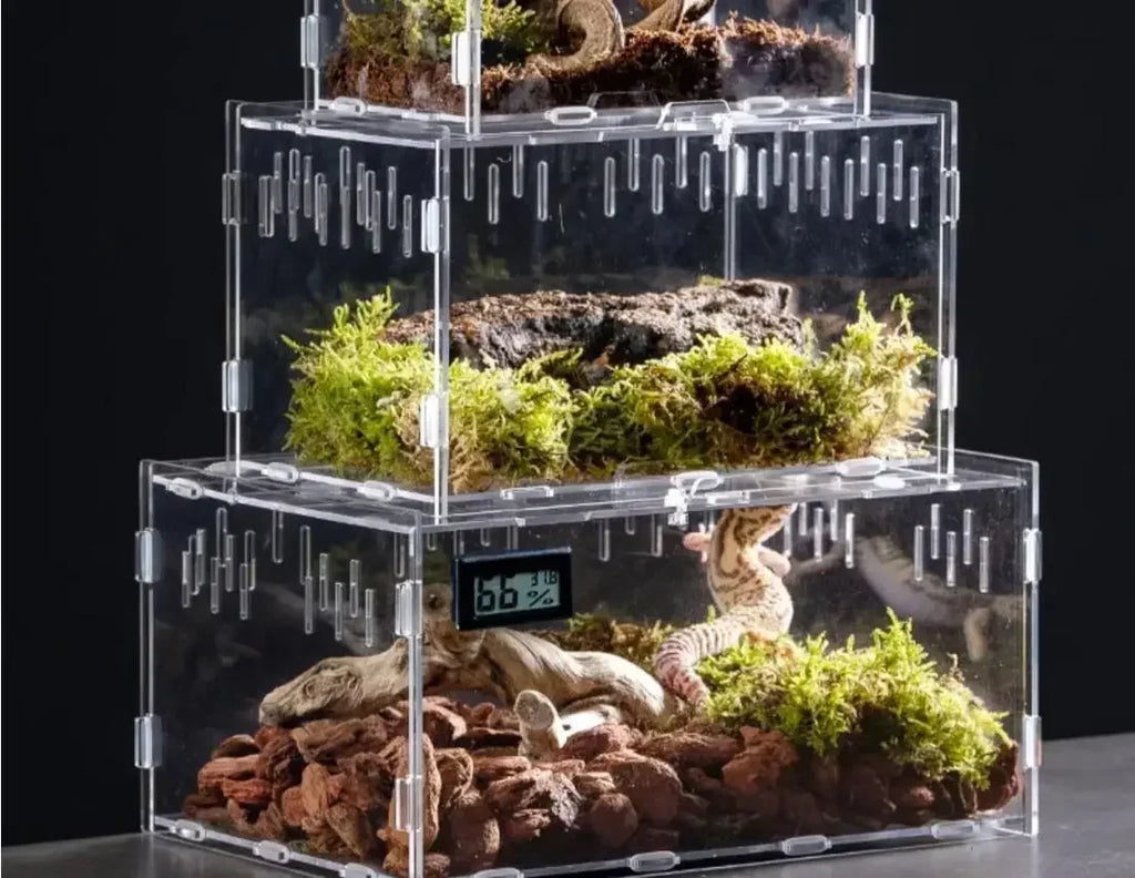 Acrylic Reptile Terrarium – Nano Arboreal Enclosure for Spiders and Insects