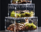 Acrylic Reptile Terrarium – Nano Arboreal Enclosure for Spiders and Insects