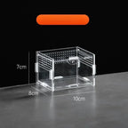Acrylic Reptile Terrarium – Nano Arboreal Enclosure for Spiders and Insects
